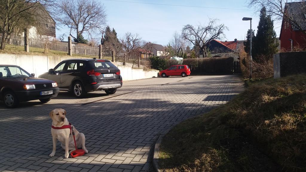 Altes Wirtshaus Foerdergersdorf Bed & Breakfast タラント エクステリア 写真